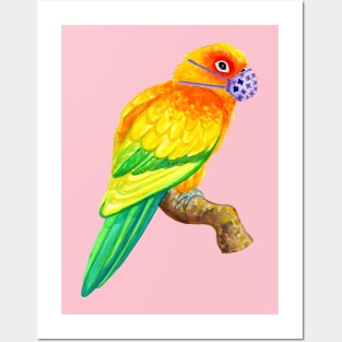 Sun Conure Parrot Wearing Face Mask Watercolor Posters and Art